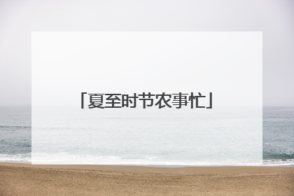 夏至时节农事忙