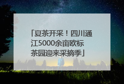 夏茶开采！四川通江5000余亩欧标茶园迎来采摘季