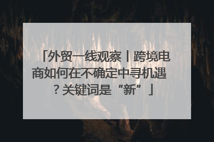 外贸一线观察丨跨境电商如何在不确定中寻机遇？关键词是“新”