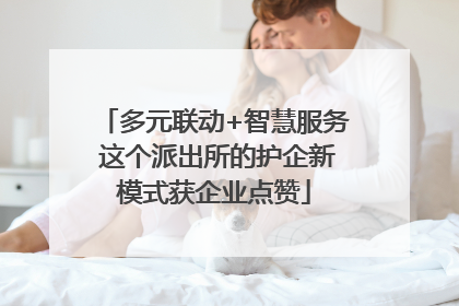 多元联动+智慧服务 这个派出所的护企新模式获企业点赞