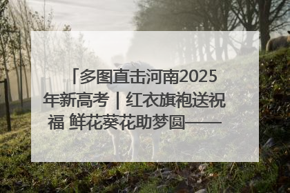 多图直击河南2025年新高考｜红衣旗袍送祝福 鲜花葵花助梦圆——尉氏县高考暖心送考