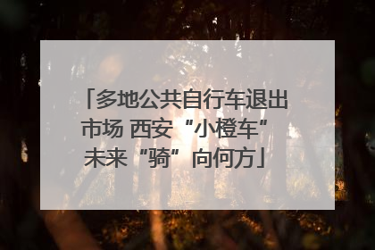 多地公共自行车退出市场 西安“小橙车”未来“骑”向何方