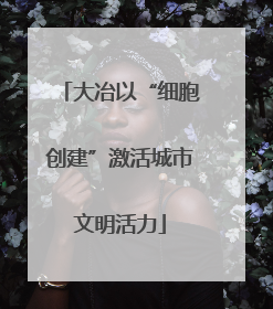 大冶以“细胞创建”激活城市文明活力