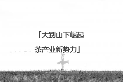 大别山下崛起茶产业新势力