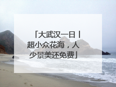 大武汉一日丨超小众花海，人少景美还免费