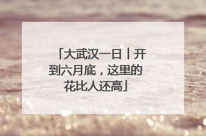 大武汉一日︱开到六月底，这里的花比人还高