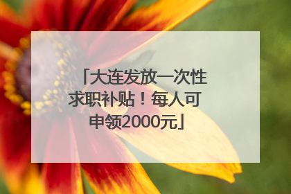 大连发放一次性求职补贴！每人可申领2000元