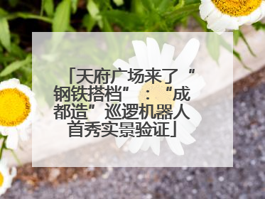 天府广场来了“钢铁搭档”：“成都造”巡逻机器人首秀实景验证