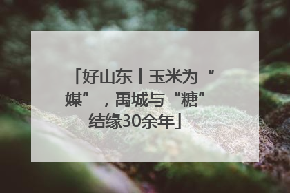 好山东丨玉米为“媒”，禹城与“糖”结缘30余年