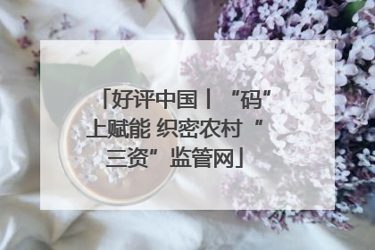 好评中国丨“码”上赋能 织密农村“三资”监管网