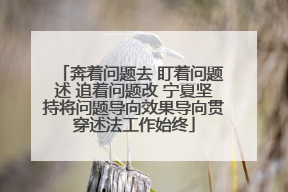 奔着问题去 盯着问题述 追着问题改 宁夏坚持将问题导向效果导向贯穿述法工作始终