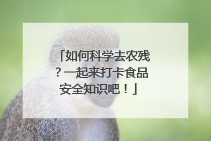 如何科学去农残？一起来打卡食品安全知识吧！