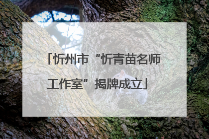 忻州市“忻青苗名师工作室”揭牌成立
