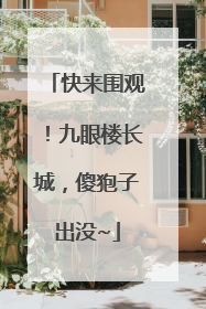 快来围观！九眼楼长城，傻狍子出没~