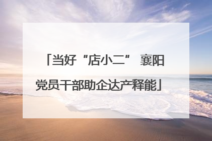 当好“店小二” 襄阳党员干部助企达产释能