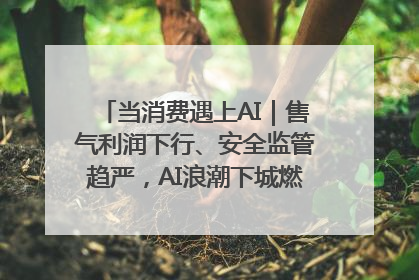 当消费遇上AI｜售气利润下行、安全监管趋严，AI浪潮下城燃企业如何破局