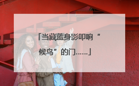当藏蓝身影叩响“候鸟”的门……