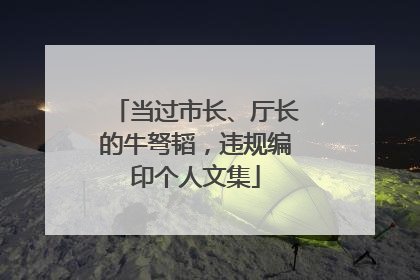 当过市长、厅长的牛弩韬，违规编印个人文集