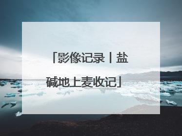 影像记录丨盐碱地上麦收记