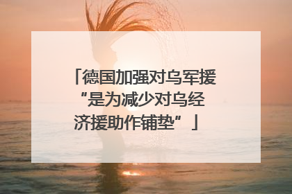 德国加强对乌军援 “是为减少对乌经济援助作铺垫”