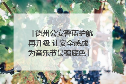 德州公安警蓝护航再升级 让安全感成为音乐节最强底色