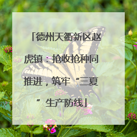 德州天衢新区赵虎镇：抢收抢种同推进，筑牢“三夏”生产防线