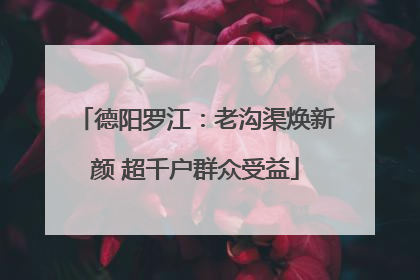德阳罗江：老沟渠焕新颜 超千户群众受益