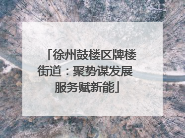 徐州鼓楼区牌楼街道：聚势谋发展 服务赋新能
