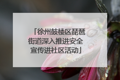 徐州鼓楼区琵琶街道深入推进安全宣传进社区活动