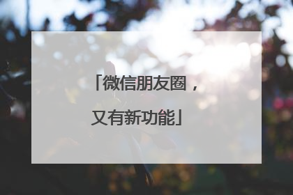 微信朋友圈，又有新功能