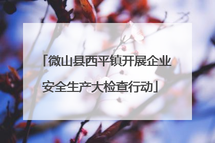 微山县西平镇开展企业安全生产大检查行动