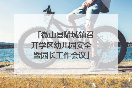 微山县驩城镇召开学区幼儿园安全暨园长工作会议