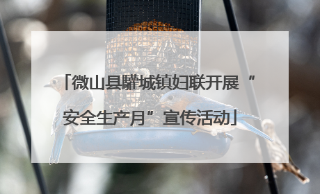 微山县驩城镇妇联开展“安全生产月”宣传活动