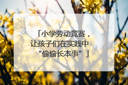 小学劳动竞赛，让孩子们在实践中“偷偷长本事”