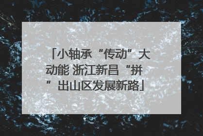小轴承“传动”大动能 浙江新昌“拼”出山区发展新路