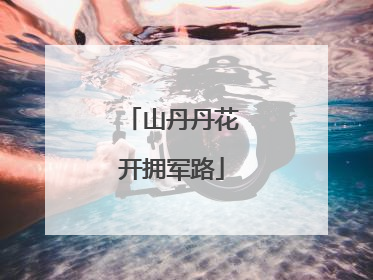 山丹丹花开拥军路