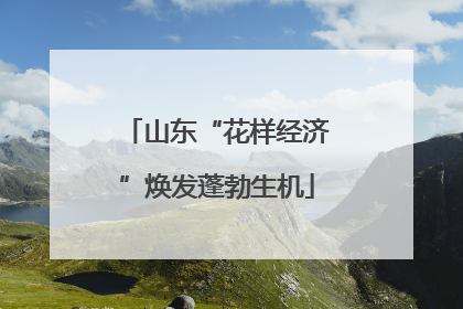山东“花样经济”焕发蓬勃生机