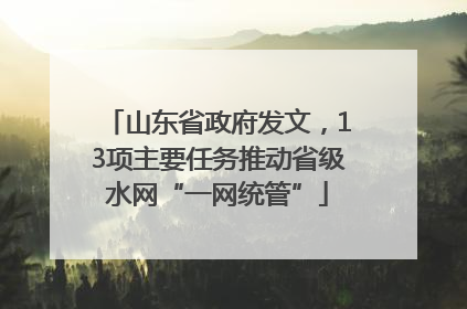 山东省政府发文，13项主要任务推动省级水网“一网统管”