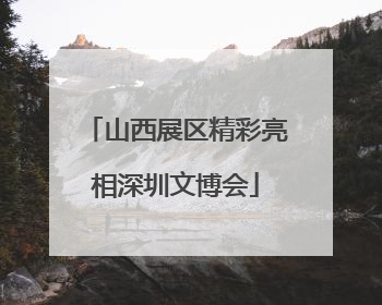 山西展区精彩亮相深圳文博会