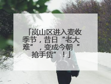 岚山区进入麦收季节，昔日“老大难”，变成今朝“抢手货”！