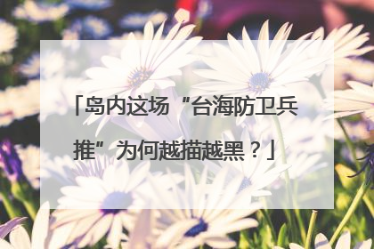 岛内这场“台海防卫兵推”为何越描越黑？