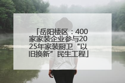 岳阳楼区：400家家装企业参与2025年家装厨卫“以旧换新”民生工程