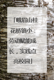 峨眉山桂花桥镇小：劳动赋能成长，实践点亮校园