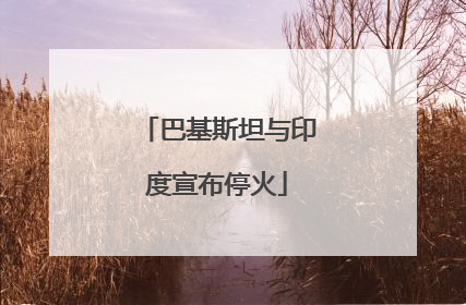 巴基斯坦与印度宣布停火