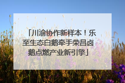 川渝协作新样本！乐至生态白鹅牵手荣昌卤鹅点燃产业新引擎