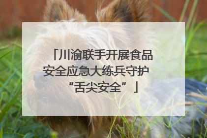 川渝联手开展食品安全应急大练兵守护“舌尖安全”