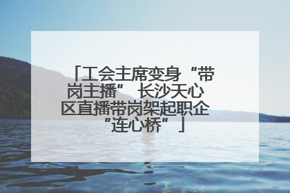 工会主席变身“带岗主播” 长沙天心区直播带岗架起职企“连心桥”