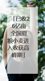 已收2.6亿亩 全国夏粮小麦进入收获高峰期