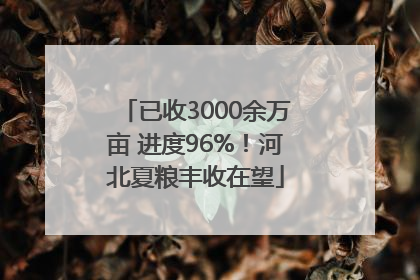 已收3000余万亩 进度96%！河北夏粮丰收在望