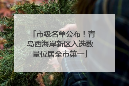 市级名单公布！青岛西海岸新区入选数量位居全市第一